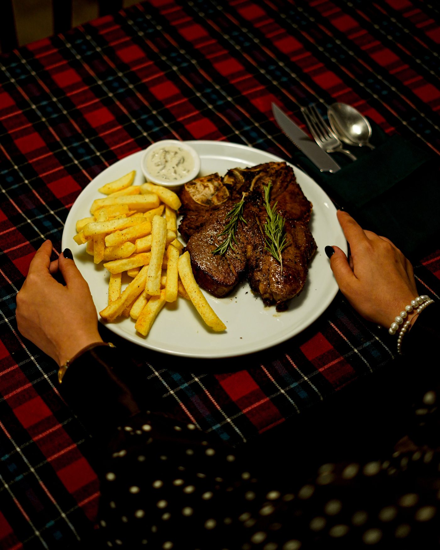 Grilled steak with fries